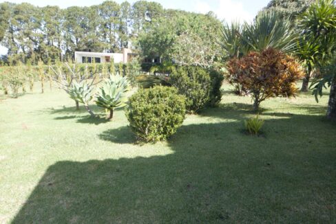 jardim 2